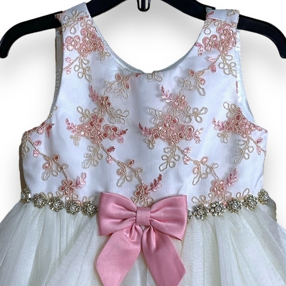 AMERICAN Princess Pink Embroidered Floral Tulle Ballgown Dress Girls 3T - Picture 2 of 6